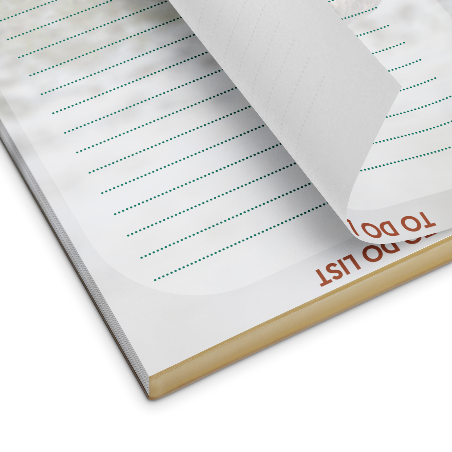 Killdeer Notepad