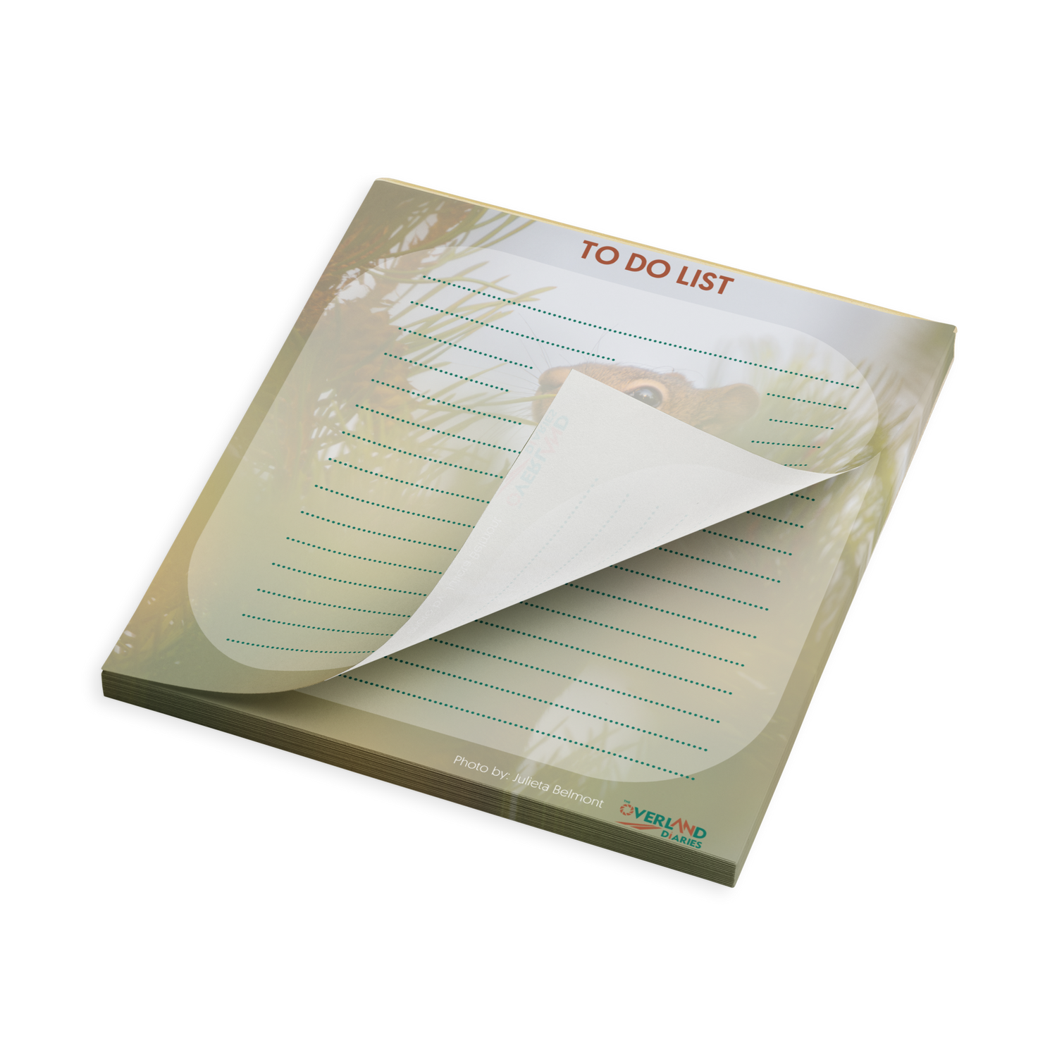Squirrel Notepad