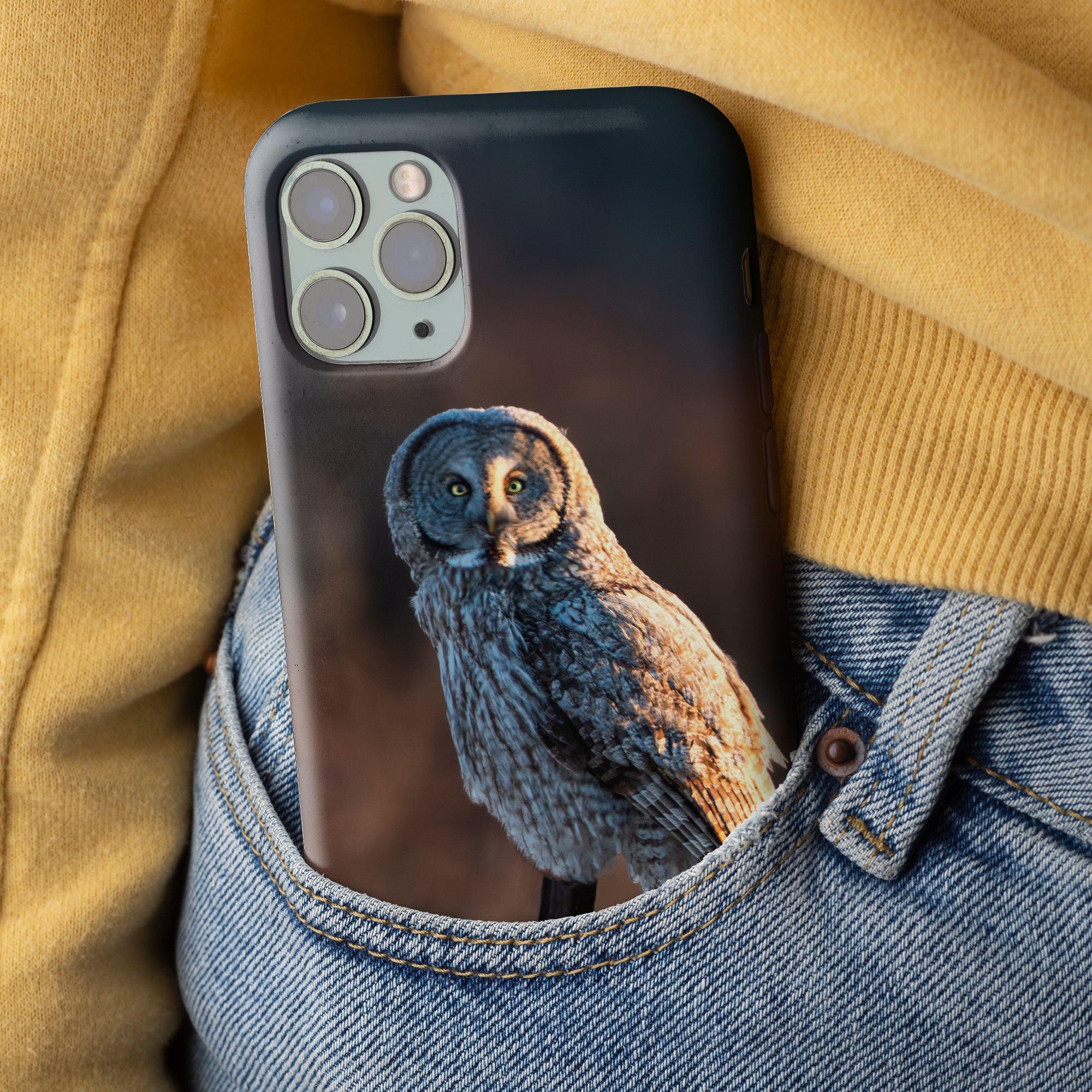 iPhone Cover and First Light Owl