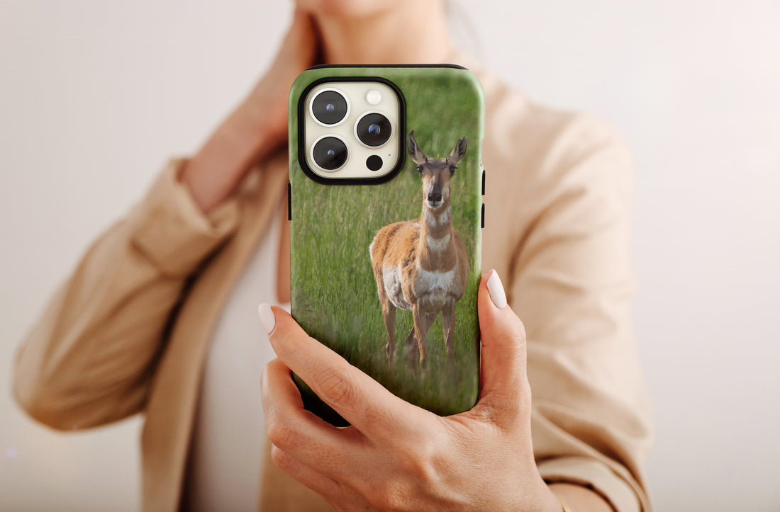 iPhone cover and pronghorn — chased through Wyoming wind