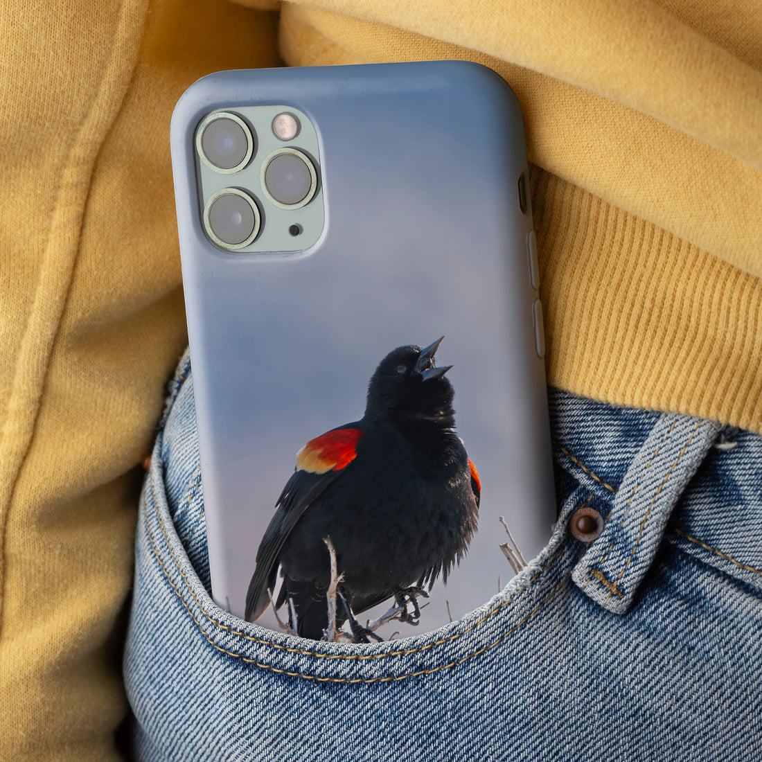 Red-winged Blackbird Return iPhone Cover