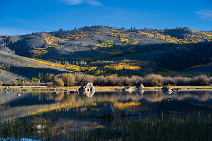 Wyoming Landscape