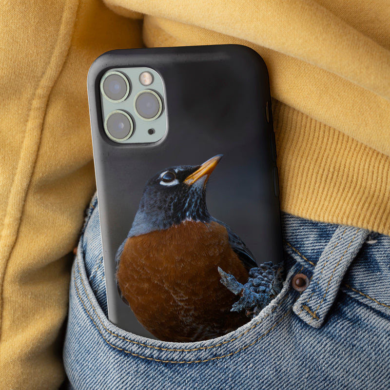 Curious Robin Spring iPhone Case