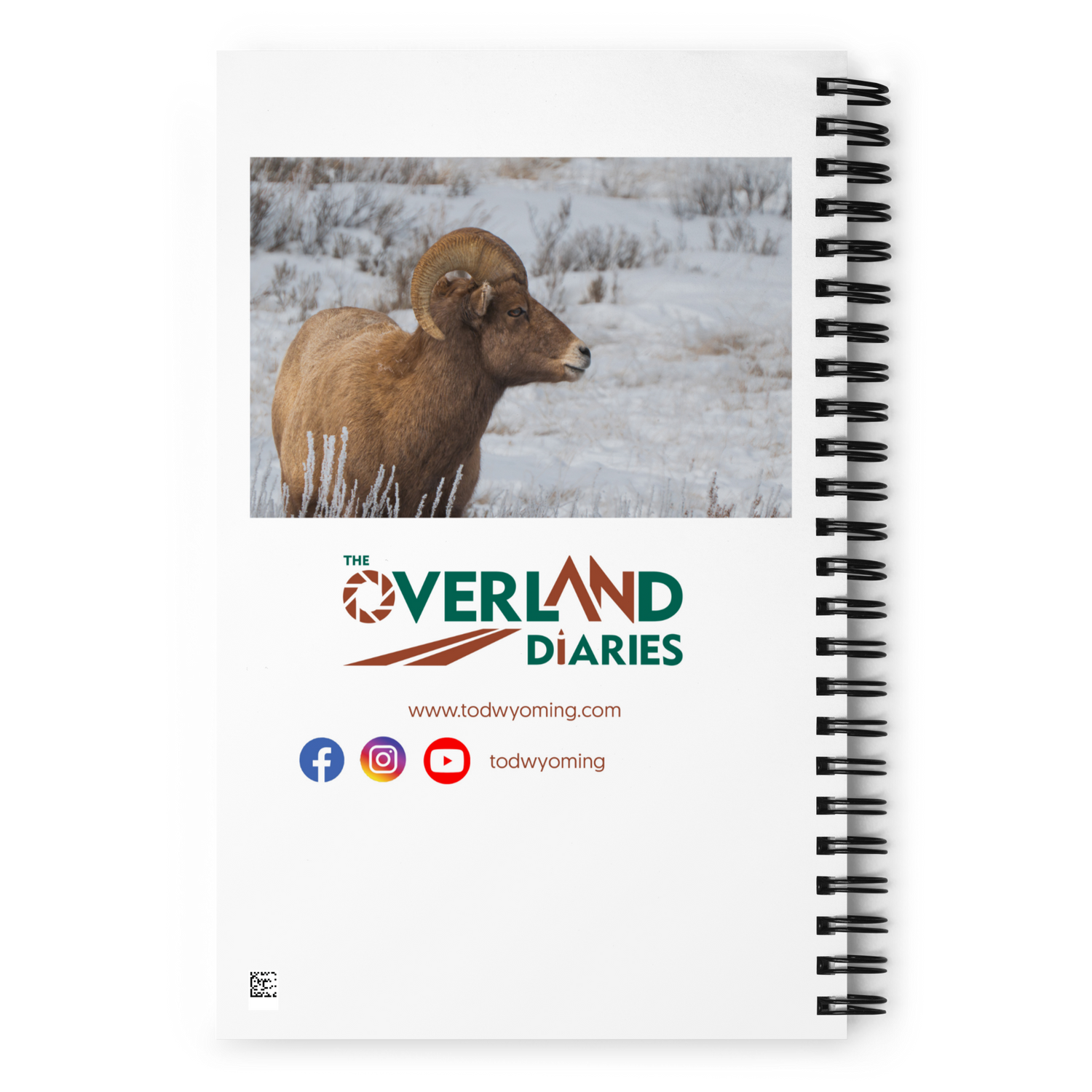 Notebook Moments with a Big Horn Sheep