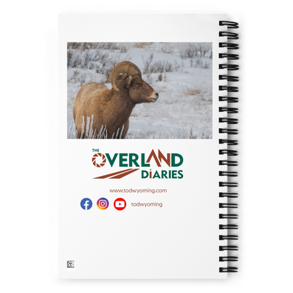Notebook Moments with a Big Horn Sheep