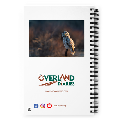 Where Night Meets Day — Owl Notebook