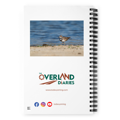 Always Almost Missed — Killdeer Notebook