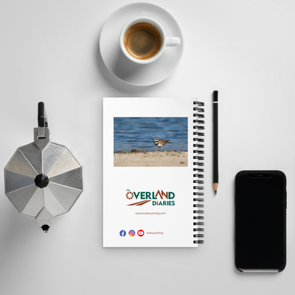 Always Almost Missed — Killdeer Notebook