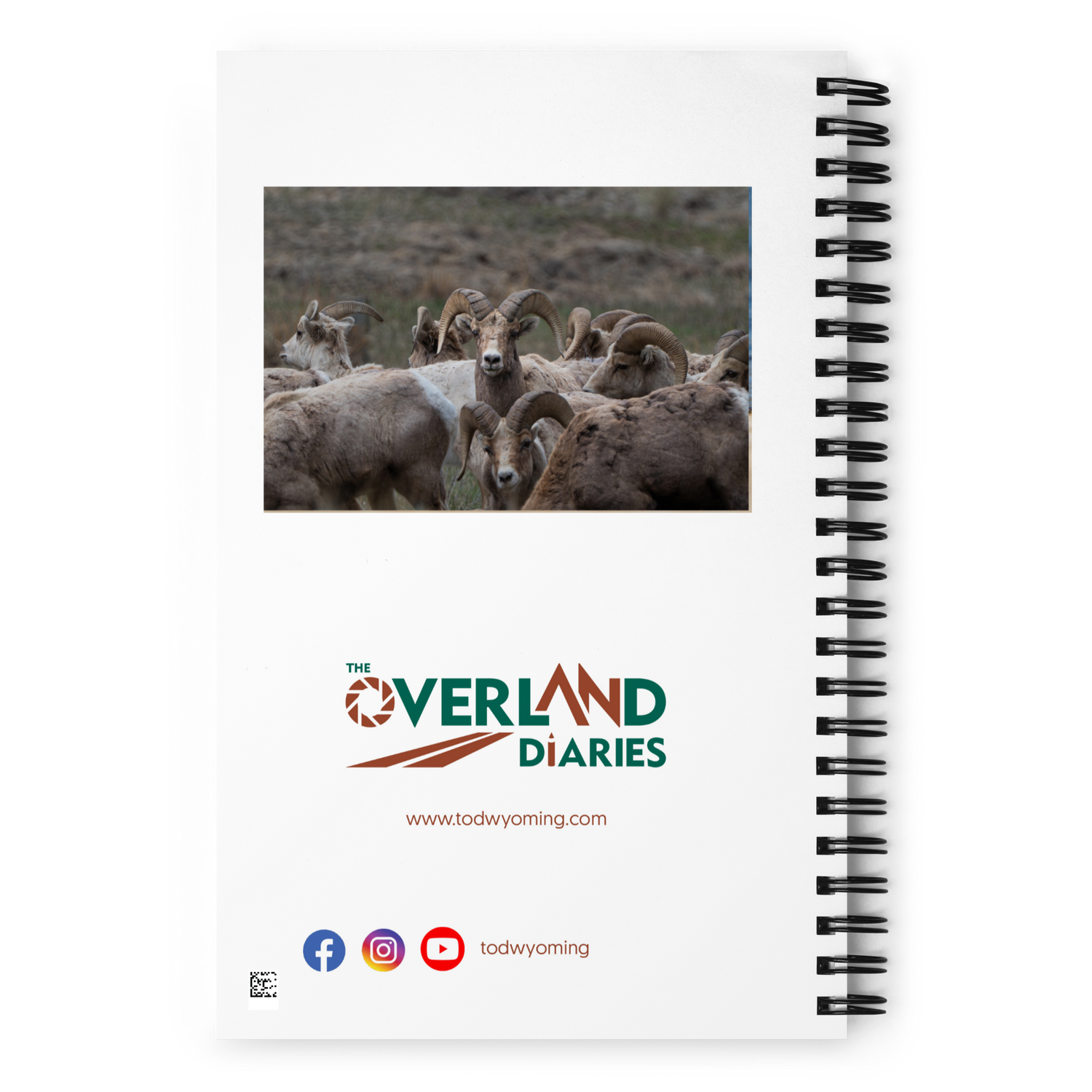 Witness the Wild — Bighorn Sheep Notebook