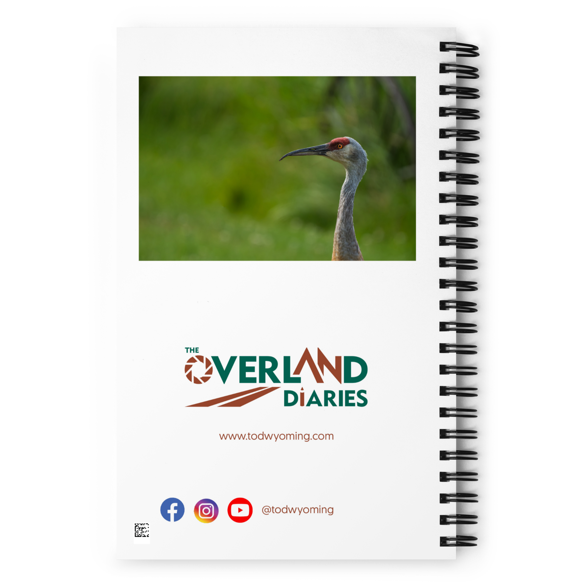 Sandhill Crane Notebook: Lessons from the Wild