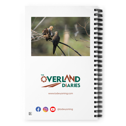 Golden Morning Mourning Dove Notebook