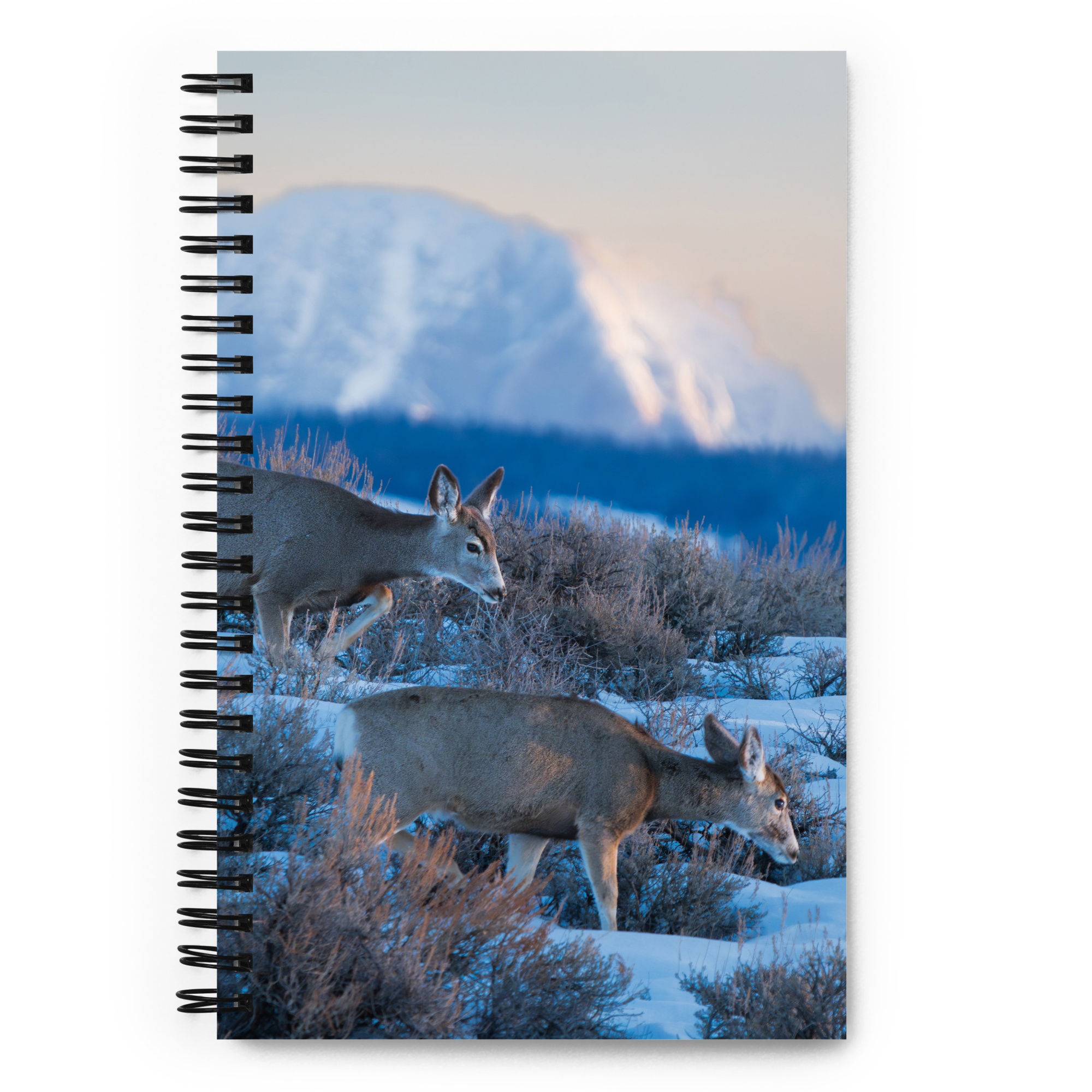 Deer in the Snow: The Notebook That Brings Wyoming Winter to Life