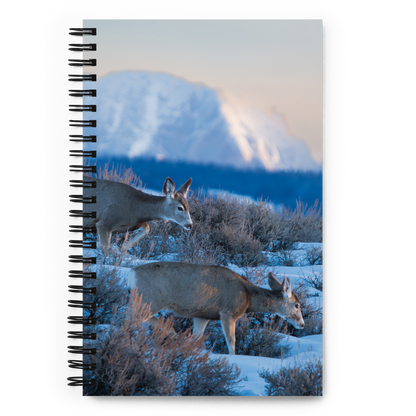 Deer in the Snow: The Notebook That Brings Wyoming Winter to Life