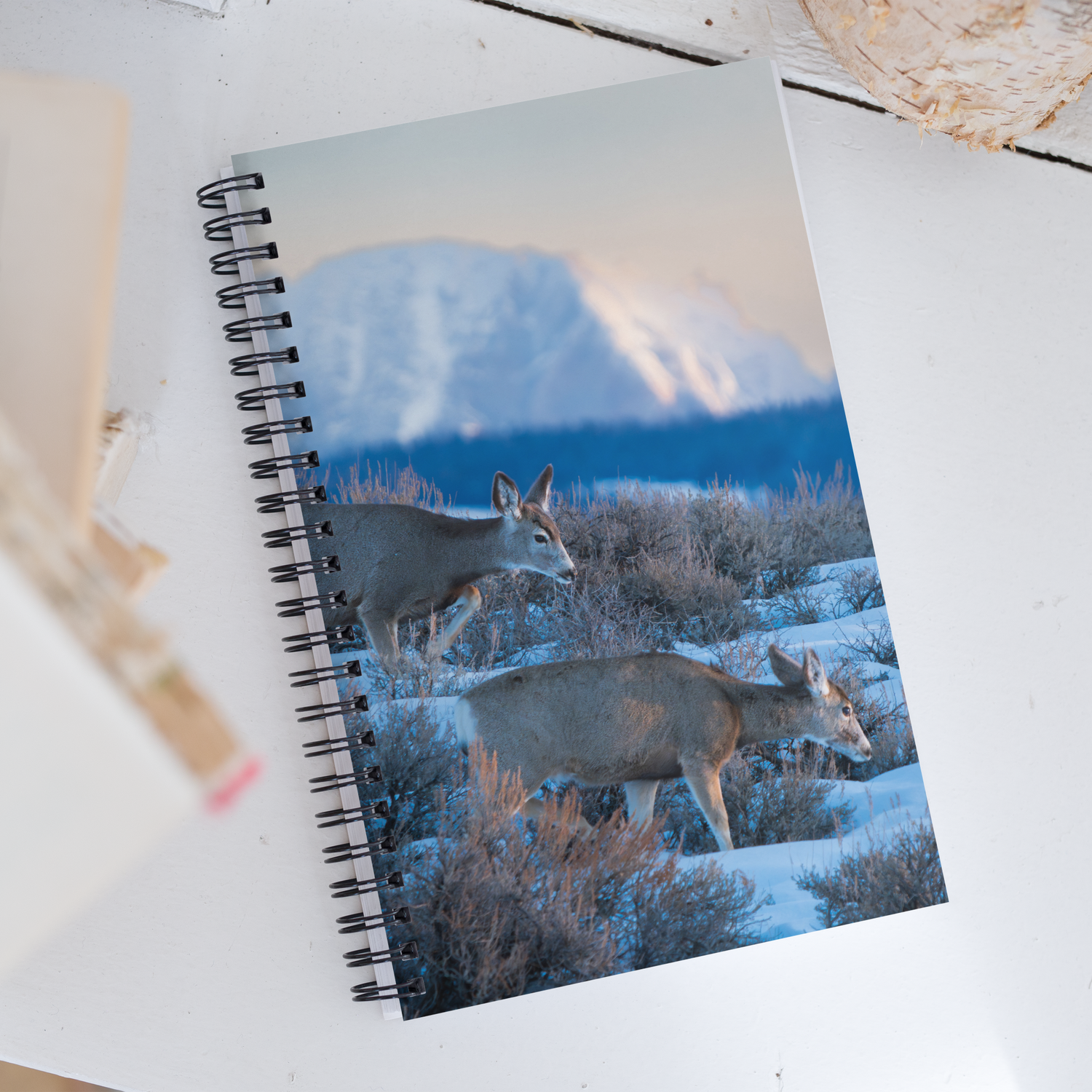 Deer in the Snow: The Notebook That Brings Wyoming Winter to Life