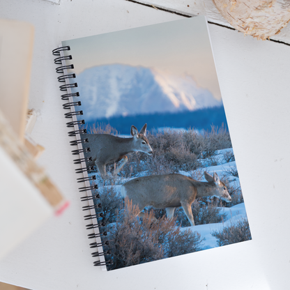 Deer in the Snow: The Notebook That Brings Wyoming Winter to Life