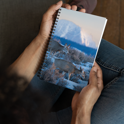 Deer in the Snow: The Notebook That Brings Wyoming Winter to Life