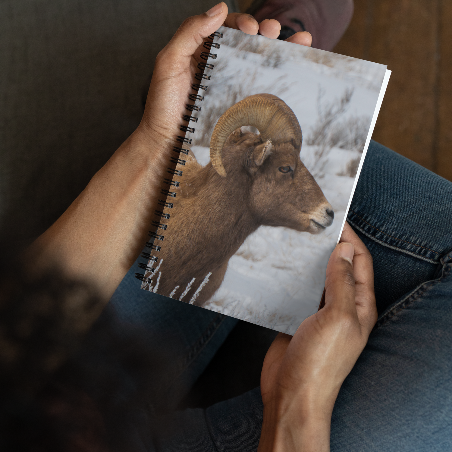 Notebook Moments with a Big Horn Sheep