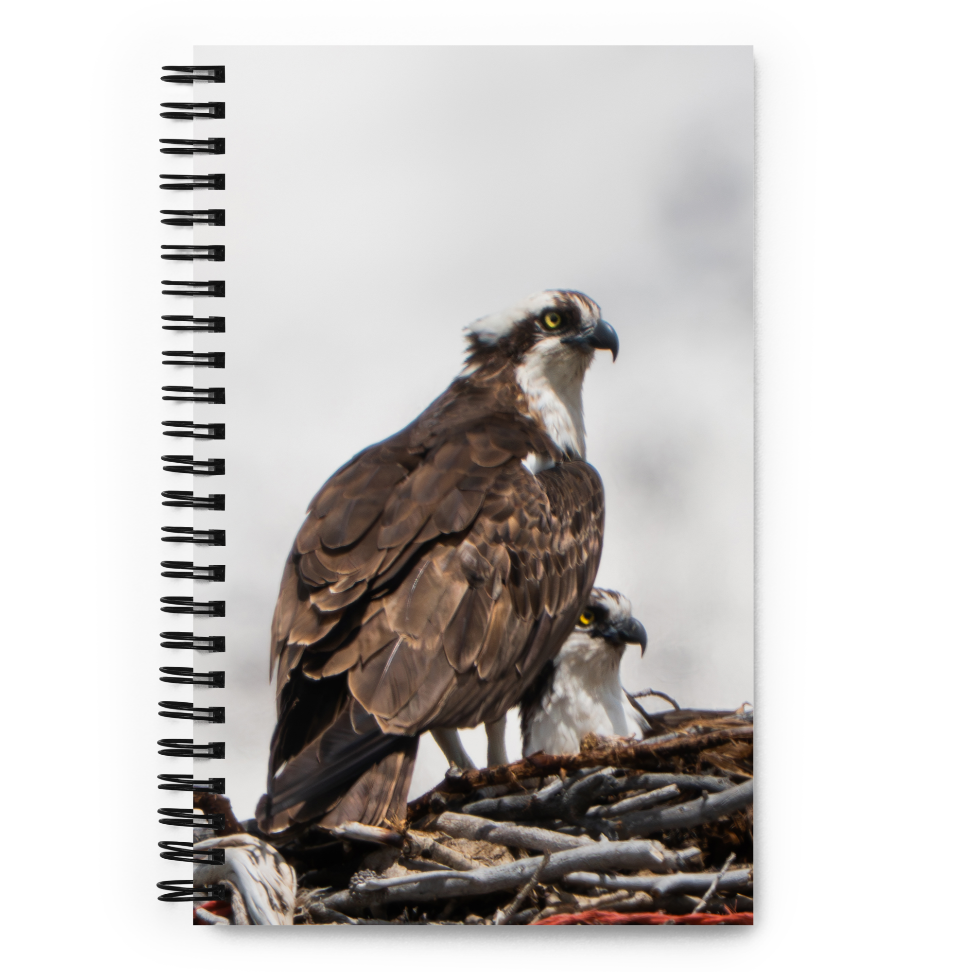 Osprey Devotion Notebook