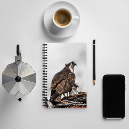 Osprey Devotion Notebook