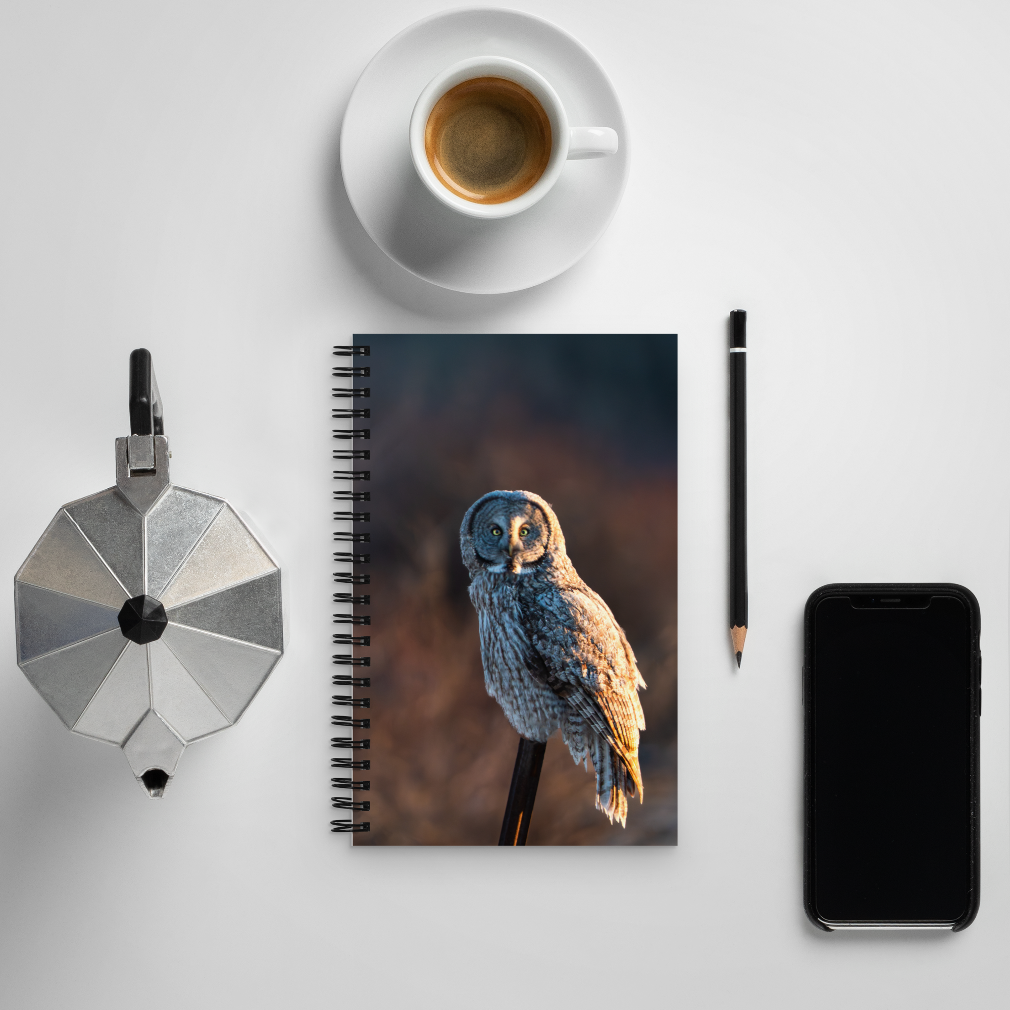Where Night Meets Day — Owl Notebook