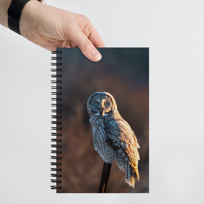 Where Night Meets Day — Owl Notebook