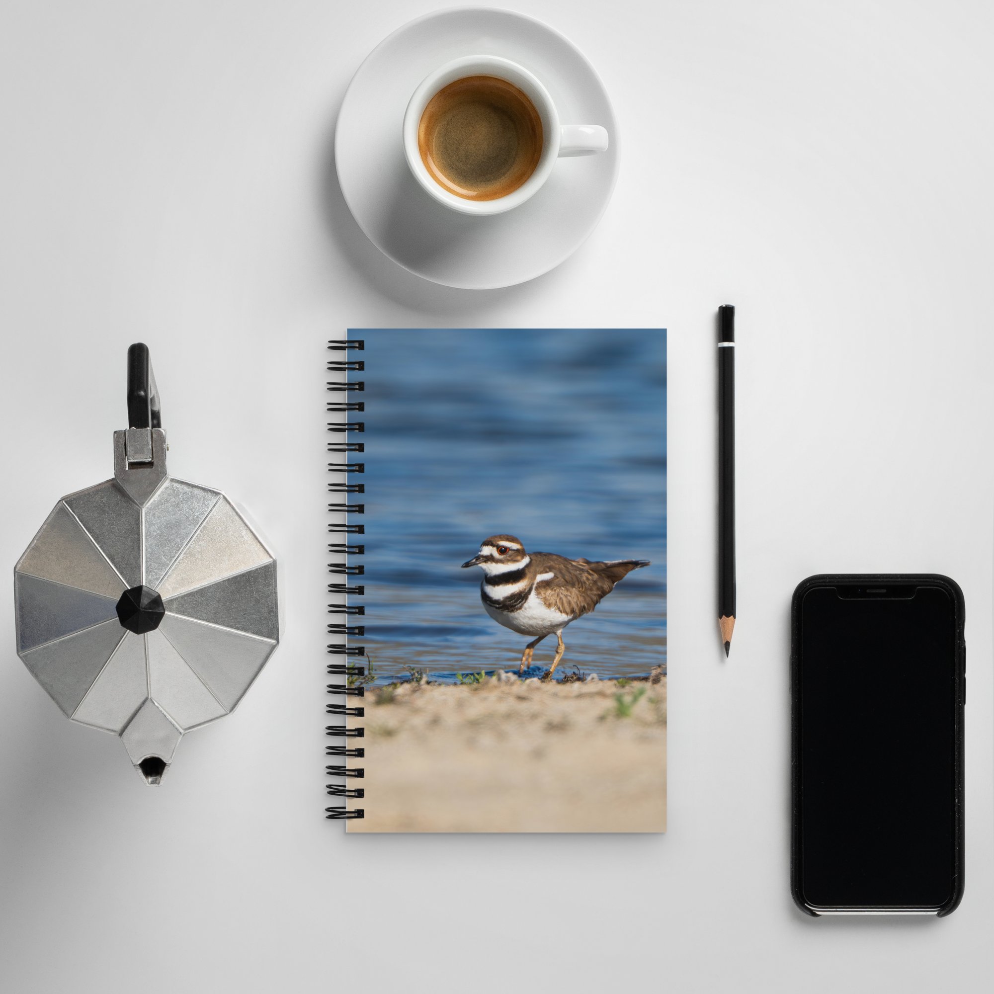Always Almost Missed — Killdeer Notebook