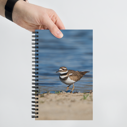 Always Almost Missed — Killdeer Notebook