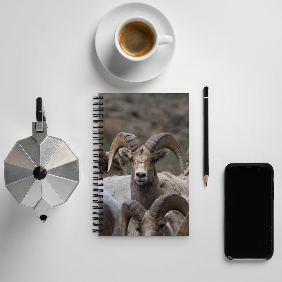 Witness the Wild — Bighorn Sheep Notebook