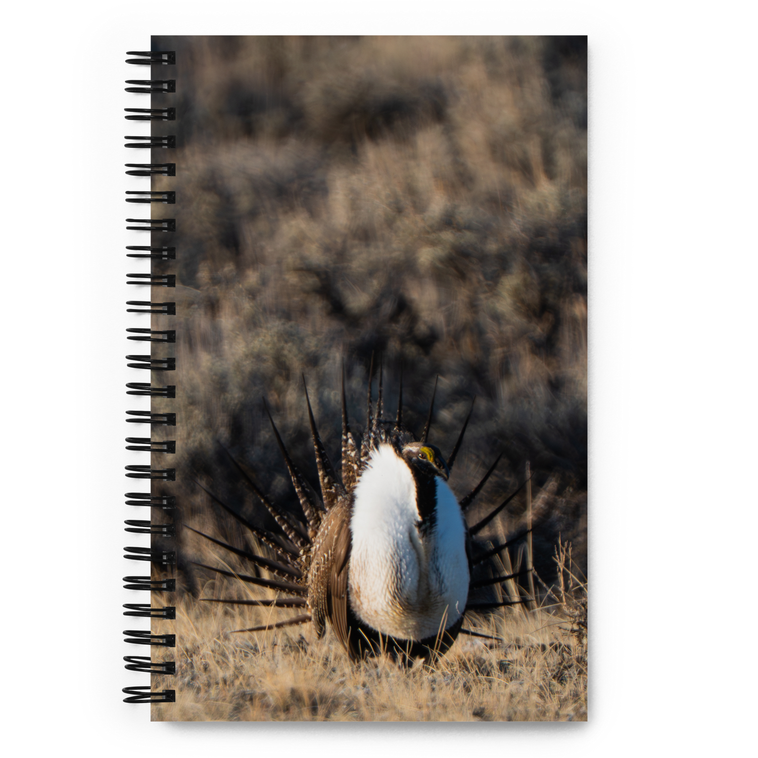 Sage Grouse Ritual Notebook