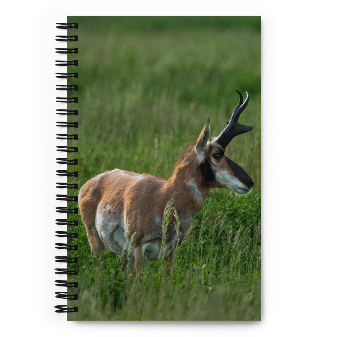 Wild Pronghorn Notebook