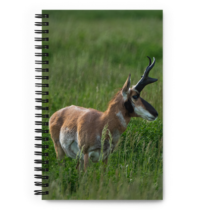 Wild Pronghorn Notebook