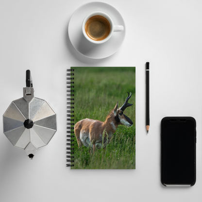 Wild Pronghorn Notebook