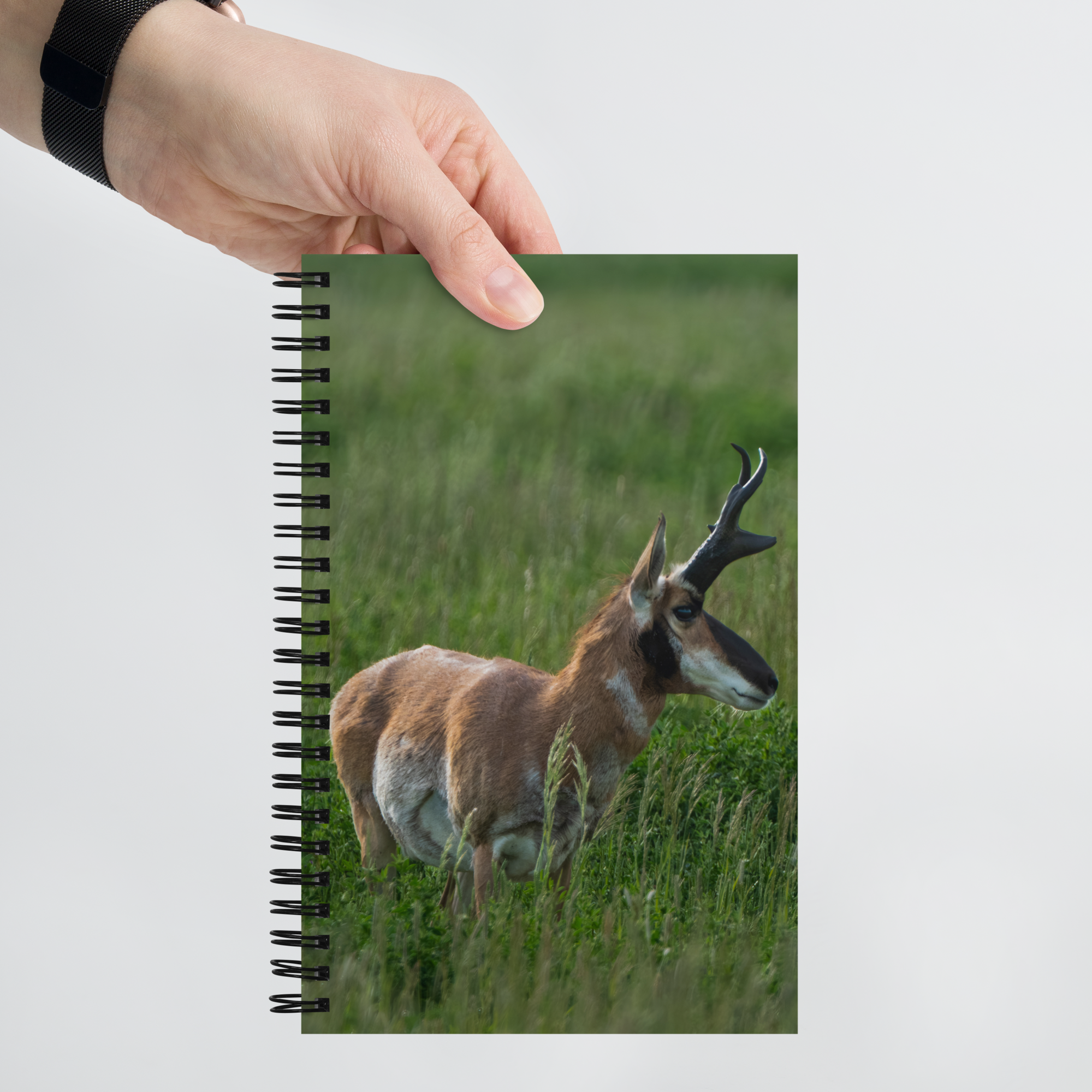 Wild Pronghorn Notebook