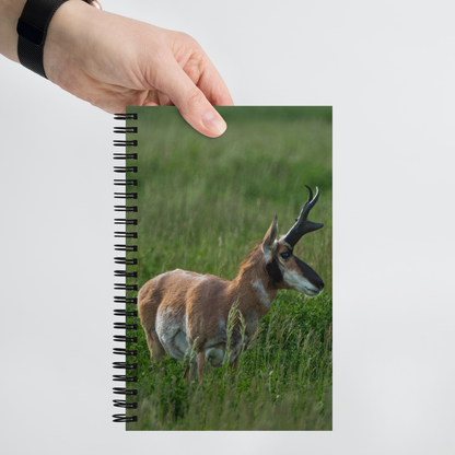 Wild Pronghorn Notebook