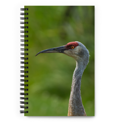 Sandhill Crane Notebook: Lessons from the Wild