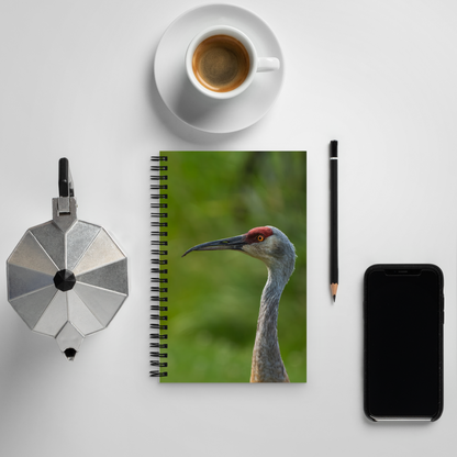 Sandhill Crane Notebook: Lessons from the Wild