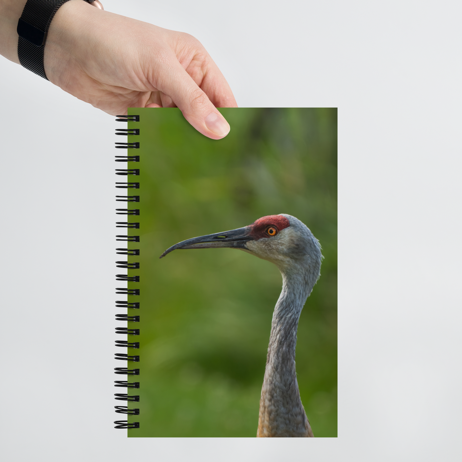 Sandhill Crane Notebook: Lessons from the Wild