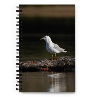 Seagull Sunrise Notebook