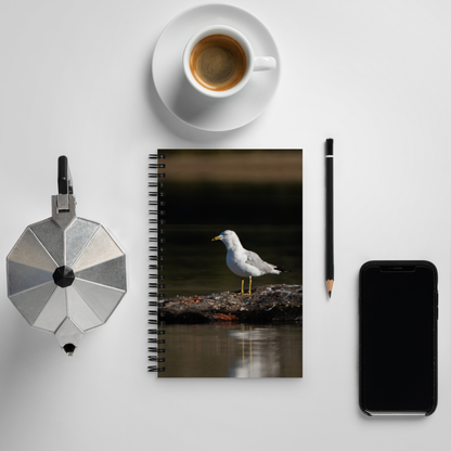 Seagull Sunrise Notebook