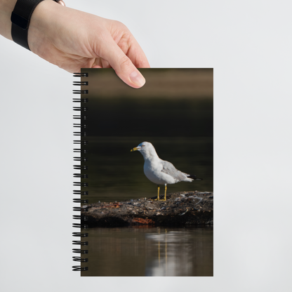 Seagull Sunrise Notebook