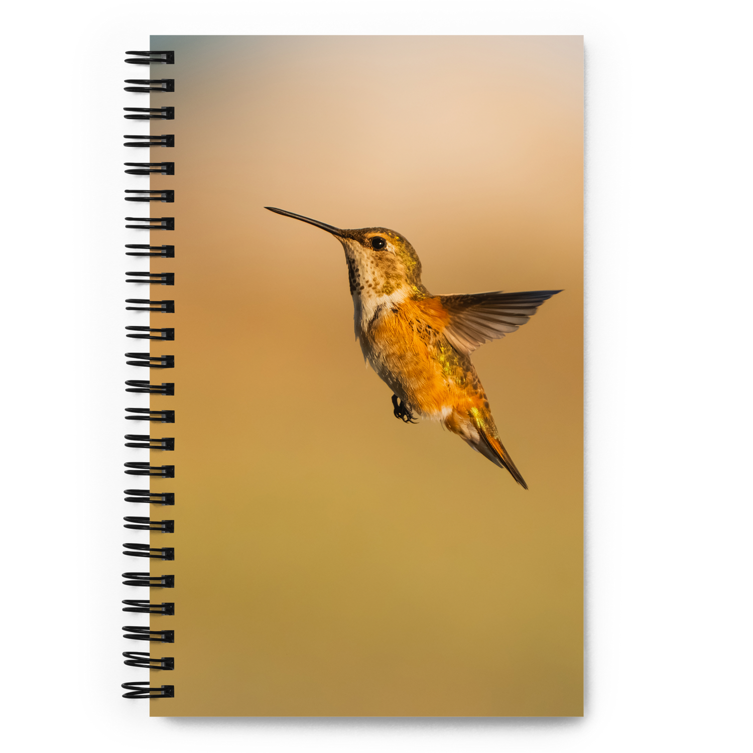 Hummingbird Whisper Notebook