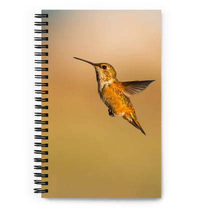 Hummingbird Whisper Notebook
