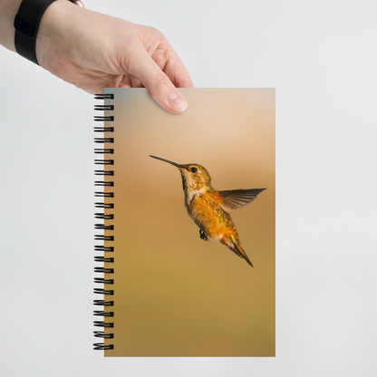 Hummingbird Whisper Notebook