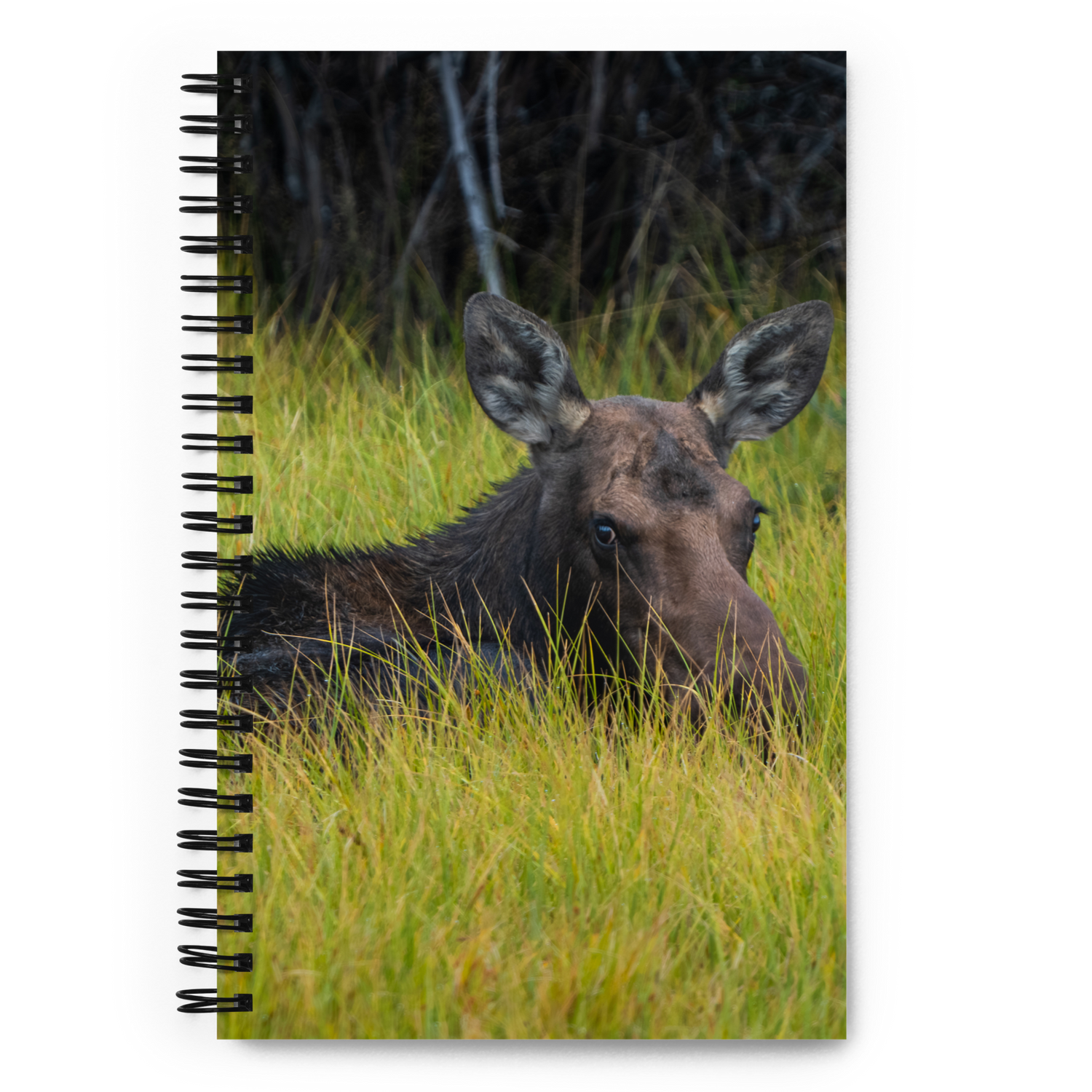 Moose Morning Notebook