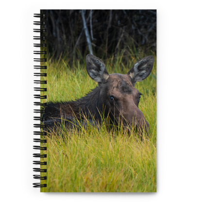 Moose Morning Notebook