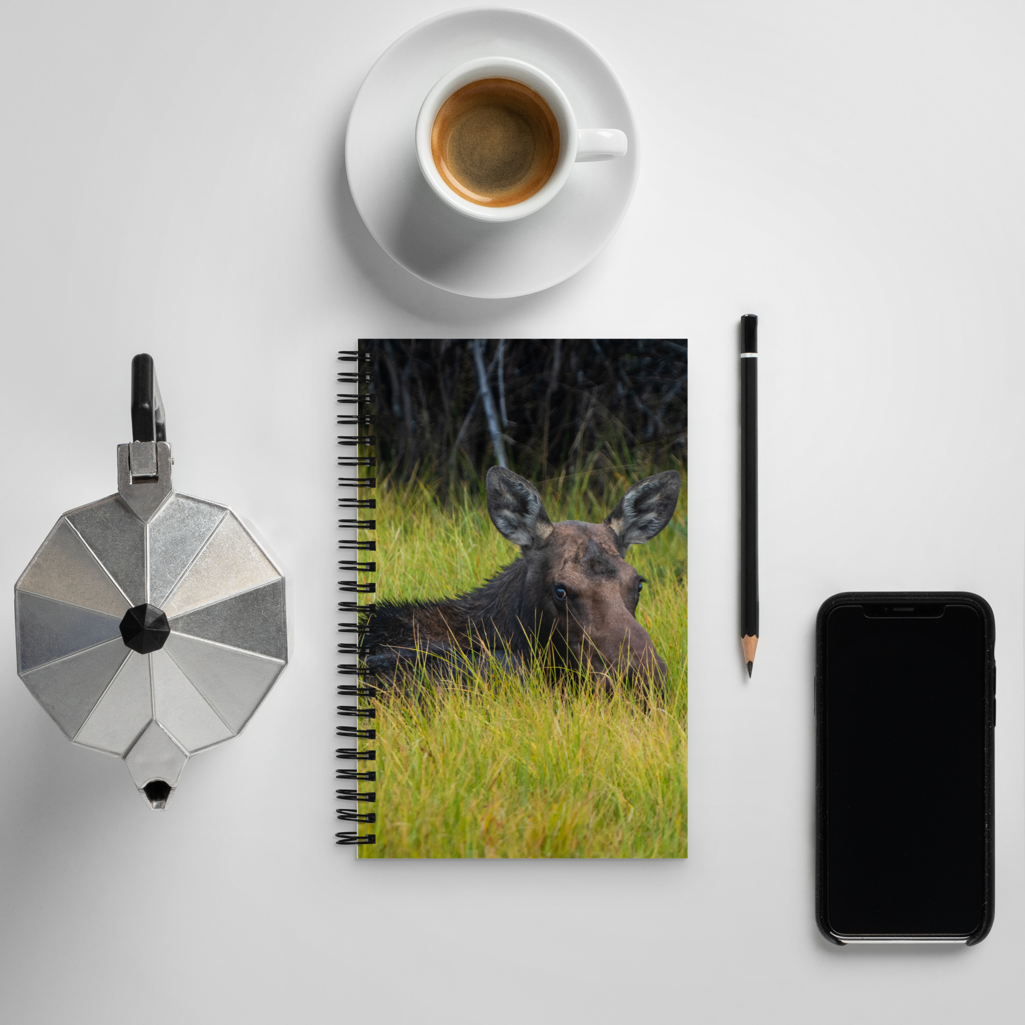 Moose Morning Notebook