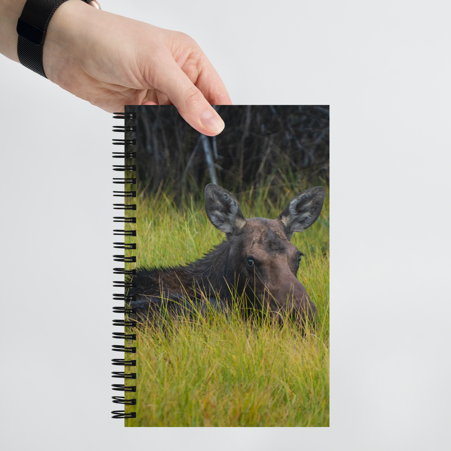 Moose Morning Notebook