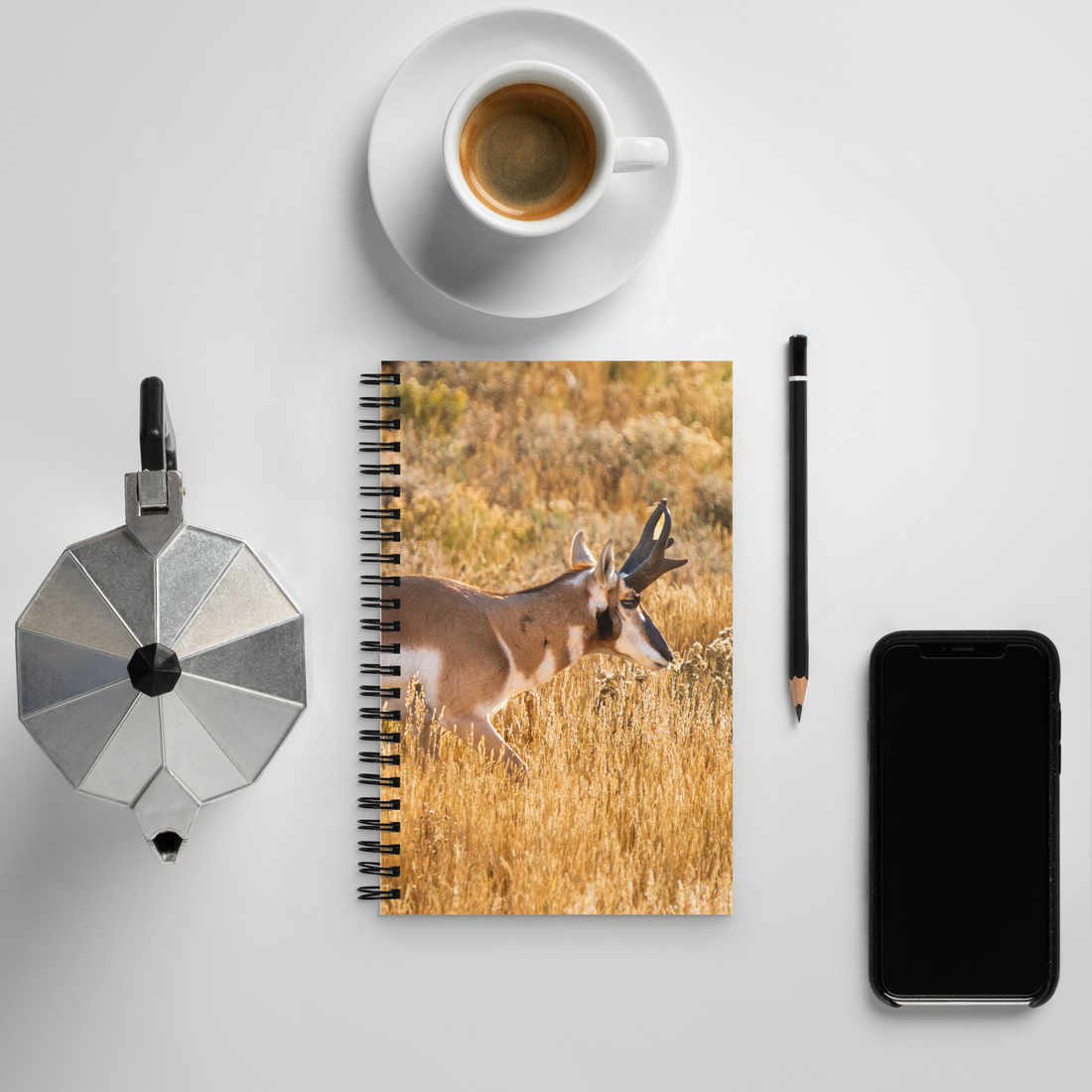 Pronghorn Notebook | Where Stillness Finds You