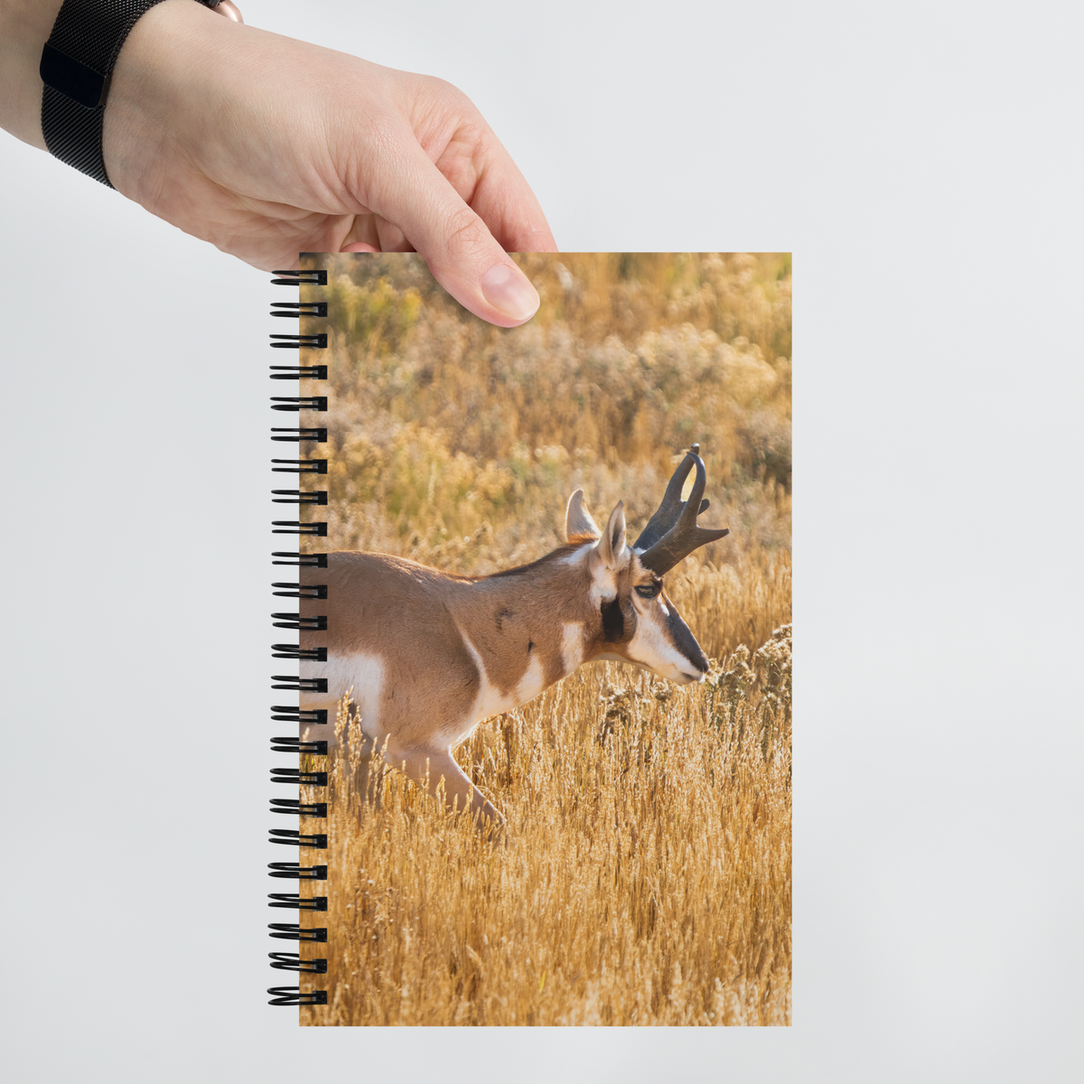 Pronghorn Notebook | Where Stillness Finds You