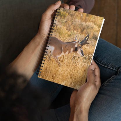Pronghorn Notebook | Where Stillness Finds You